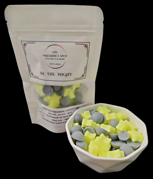 In the Night Mini Wax Melts (BBW Type)